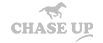 logo-chase